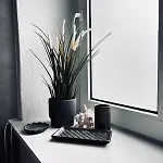 Apartment Auszeit Im Welterbe Schwerin (Mecklenburg-Vorpommern)